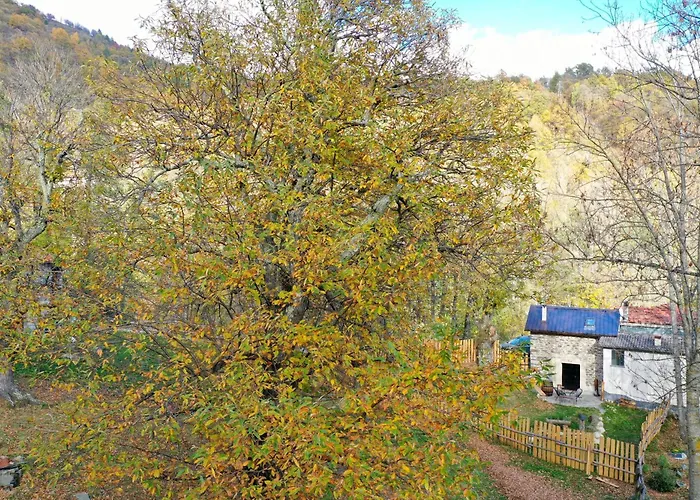 La Stalla Di Mario Hébergement de vacances Ormea